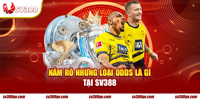 Nắm rõ những loại odds là gì tại SV388