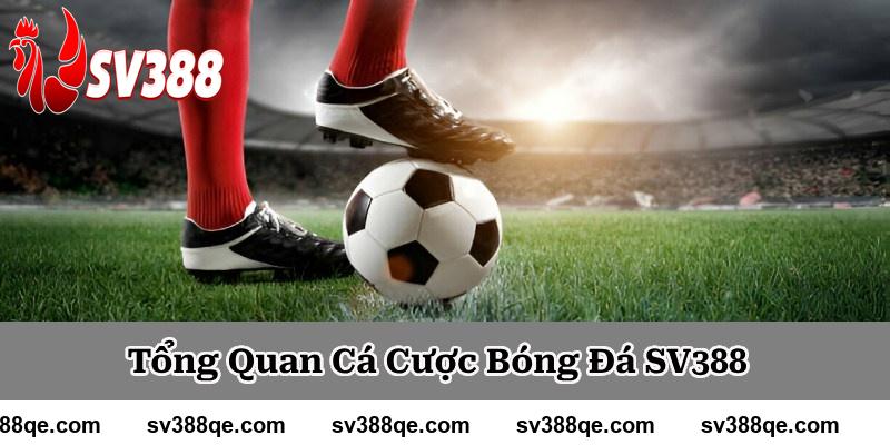 Cược bóng đá - Khám Phá Thế Giới Đầy Hấp Dẫn Của Cá Cược Thể Thao